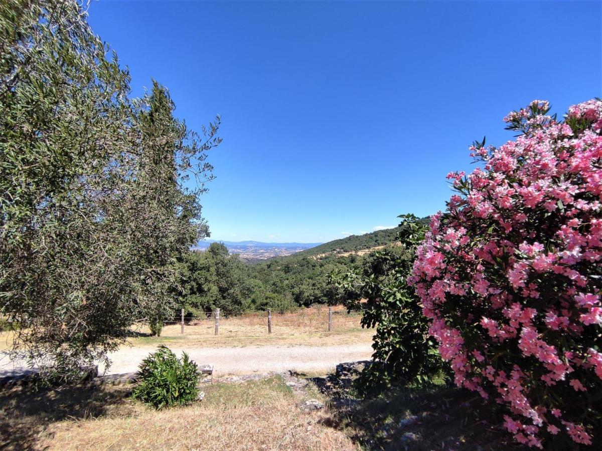 Holiday Home Casalini By Interhome Montorgiali エクステリア 写真